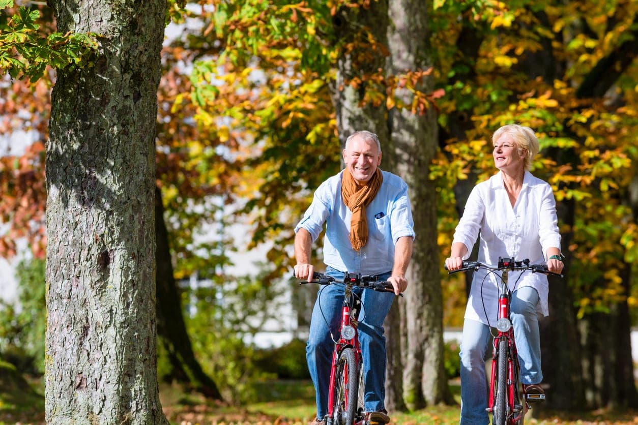 Bicycle routes