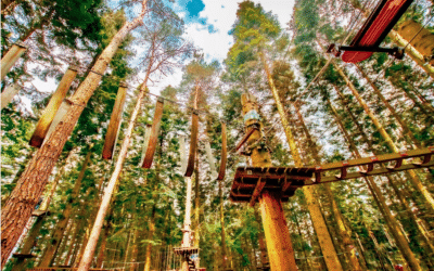 Hochseilgarten Hürtgenwald